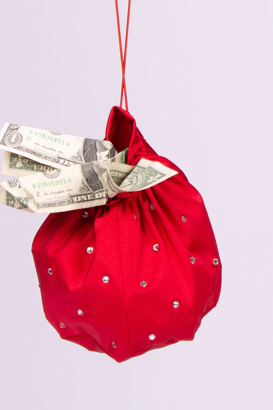 Large Money Bag